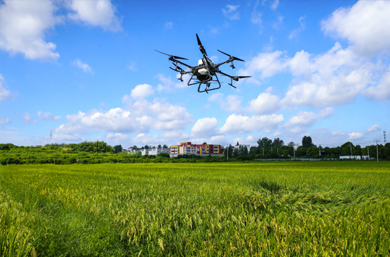 植保无人机专用草莓视频免费在线观看方案